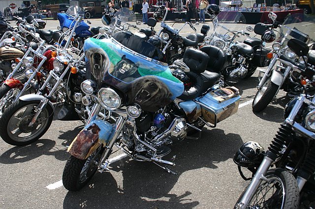 mccrun08042.jpg