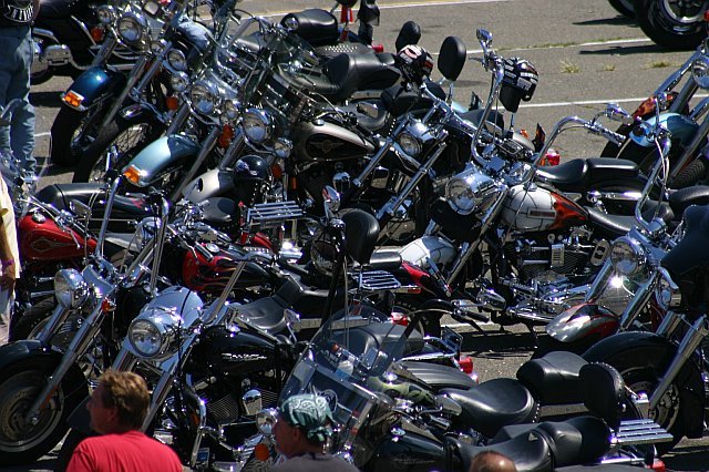 mccrun08099.jpg