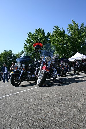 mccrun08115.jpg