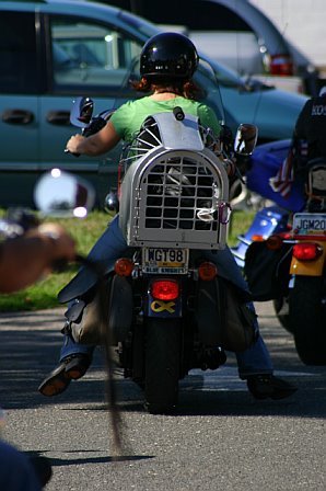 mccrun08128.jpg