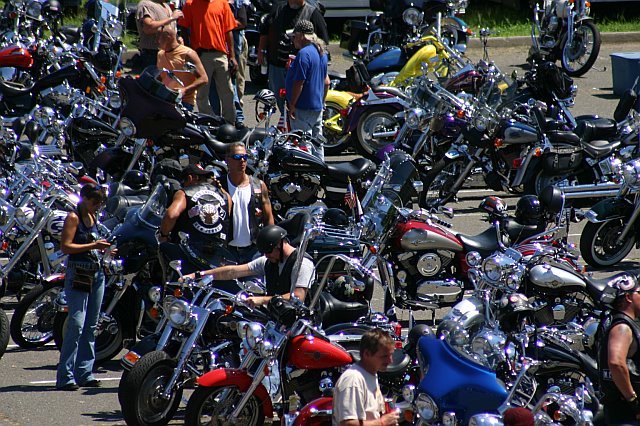 mccrun08131.jpg