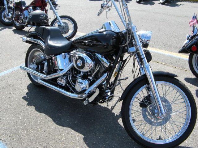 mccrun08189.jpg