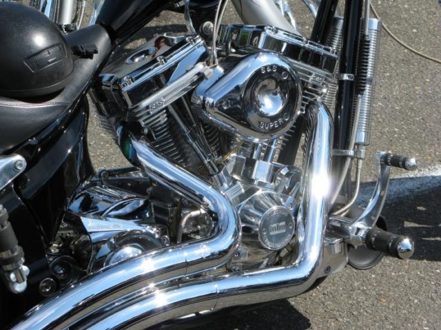 mccrun08191.jpg