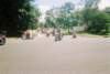 mccrun08219_small.jpg