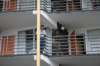 wildwood2008075_small.jpg
