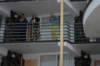 wildwood2008115_small.jpg