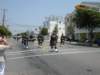 wildwood2008280_small.jpg
