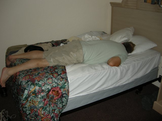 wildwood2008295.jpg