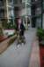 wildwood2008319_small.jpg