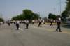 wildwood2008344_small.jpg