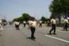 wildwood2008348_small.jpg