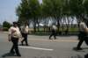 wildwood2008351_small.jpg