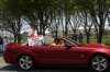 wildwood2008355_small.jpg