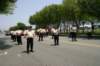 wildwood2008357_small.jpg