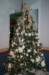 yacxmas027_small.jpg