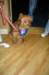 kentuckyderbyday06_small.jpg