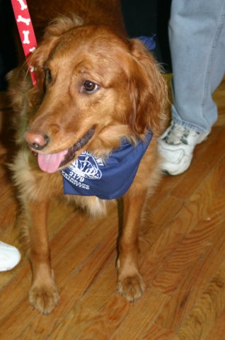 kentuckyderbyday07.jpg