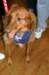 kentuckyderbyday07_small.jpg