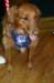 kentuckyderbyday08_small.jpg