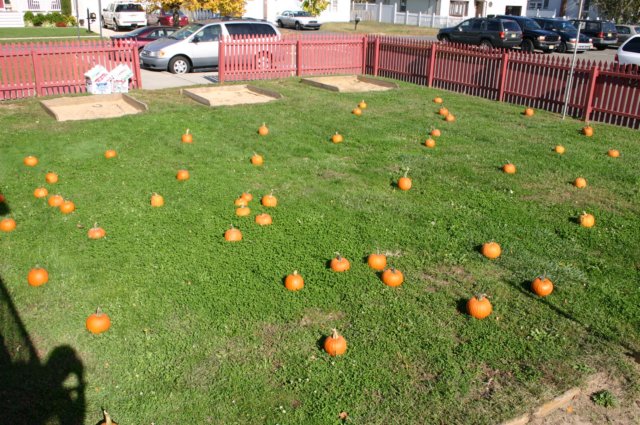scchalloween12.jpg