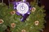 elksmemorial04_small.jpg