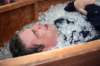 finniganswake2090_small.jpg