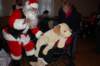 sccxmas2075_small.jpg