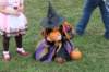 scchalloweenparty35_small.jpg