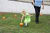 scchalloweenparty36_small.jpg