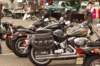 sccrun2101_small.jpg