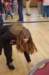 sccvalday070_small.jpg