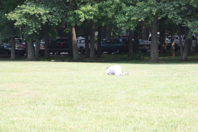 softball17.jpg