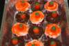 yachalloweenparty26_small.jpg