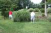 golf18_small.jpg