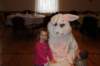 yaceaster26_small.jpg