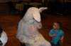 yaceaster28_small.jpg