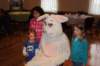 yaceaster31_small.jpg