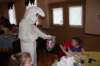 yaceaster44_small.jpg