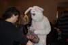 yaceaster46_small.jpg