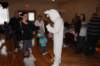 yaceaster47_small.jpg