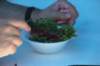 cookoff086_small.jpg