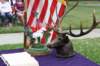 flagday50_small.jpg