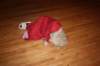 ladiesxmas33_small.jpg