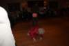ladiesxmas36_small.jpg