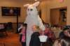 yaceaster2036_small.jpg