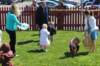 yaceaster2059_small.jpg