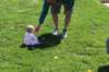 yaceaster2076_small.jpg