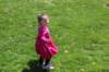yaceaster2082_small.jpg