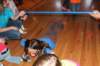 yaceaster2131_small.jpg