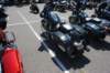 sccbikerun099_small.jpg